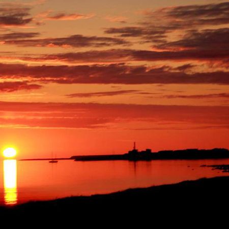 Guesthouse Lyngholt Þórshöfn Dış mekan fotoğraf