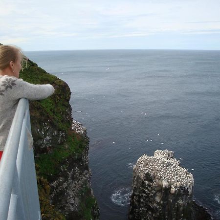 Guesthouse Lyngholt Þórshöfn Dış mekan fotoğraf