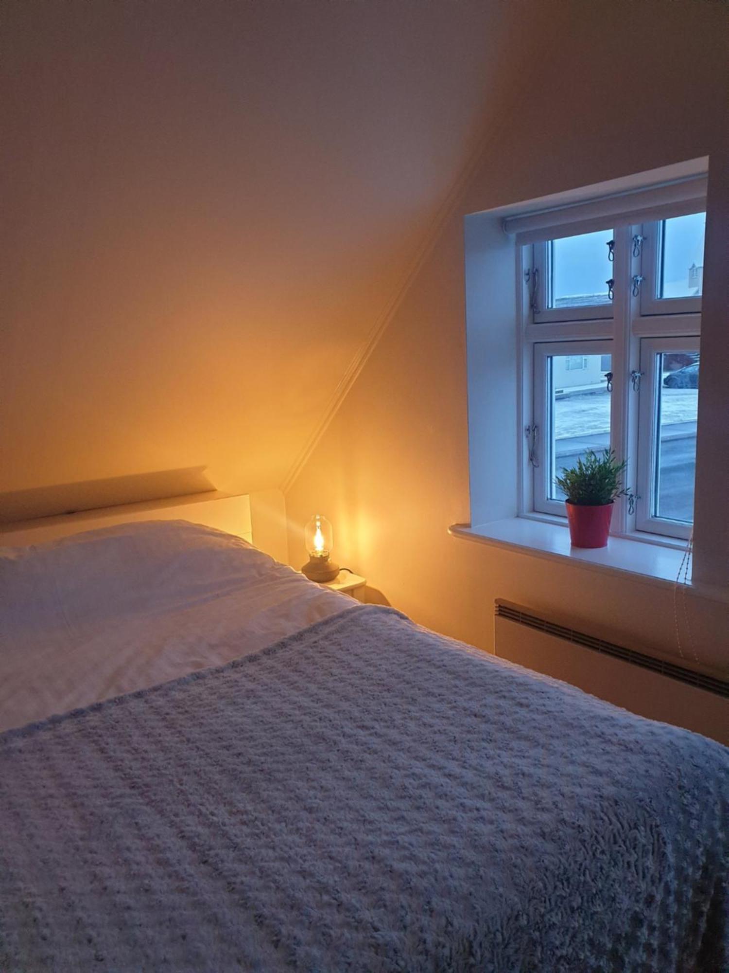 Guesthouse Lyngholt Þórshöfn Dış mekan fotoğraf